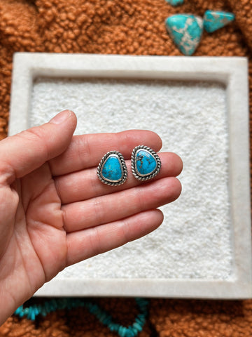 LASSO STUDS - NO. 1